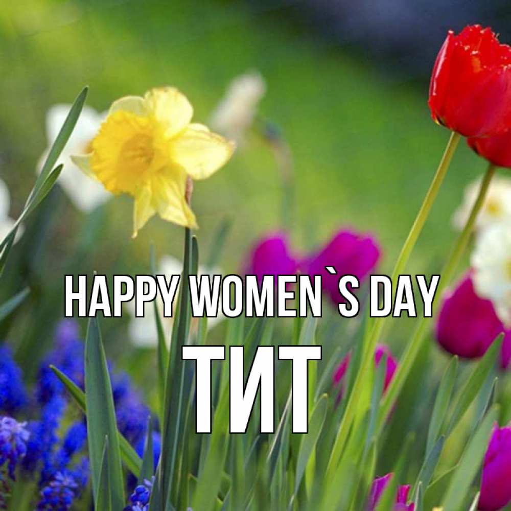 Greetings card с именем, Тит happy women`s day международный женский день 3 Greetings with text for free download 